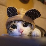 兔子小姐呀