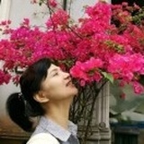 素与简