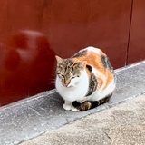 想要的都会有的