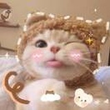 是mini林了