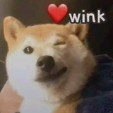 四十九
