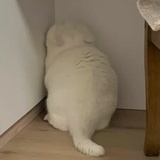 豆友222713150