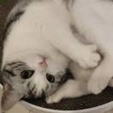 小余
