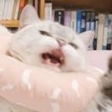 小虾米
