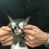 El amor