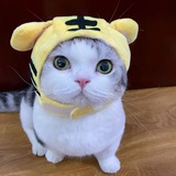 钱多多