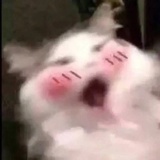 LYxxxxxxxxxx
