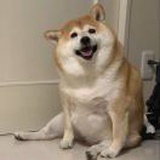 一天