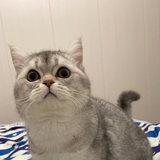 嗯