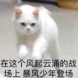 巴扎嘿i