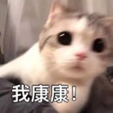 呱里瓜气