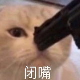 幸运星仔仔