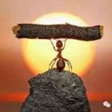 步入盛夏