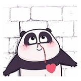 豆瓣路人