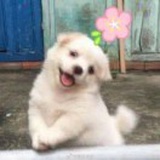 王大