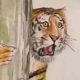 映芳菲