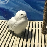吃瓜不吃瓜