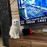 魔法少女李狗蛋