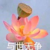 来ferfer