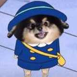 王乖喵兜@₩@
