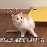 mememe