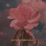 开到荼蘼