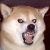 源QaQ
