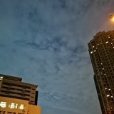 夏天的风有点甜