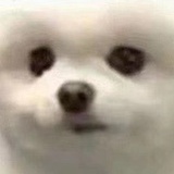呜呼
