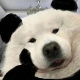 我可以的！