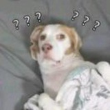 。。。
