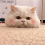 南衣