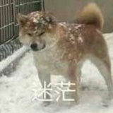 未来日记