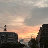 菲尔德吉利