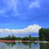 风姿尽展神仲孙