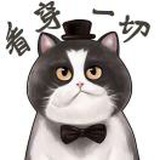 Mr.陈