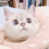 5⃣️
