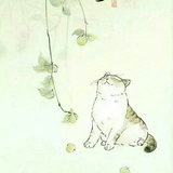 休书与叶