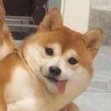 。