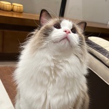 梦婷💕