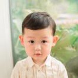 金先生爱猫和狗
