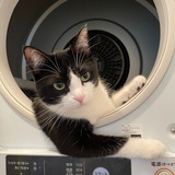 鸭梨好甜