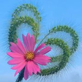 烟雾下的魅惑YIN