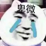 你说得对