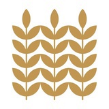 谷本优品