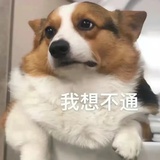 天天上进