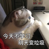 今天你学废了嘛