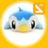 书琪