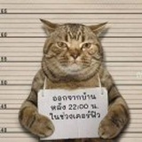 宇宙的春天都在L
