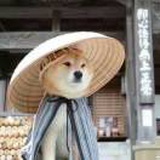 独行者=_=